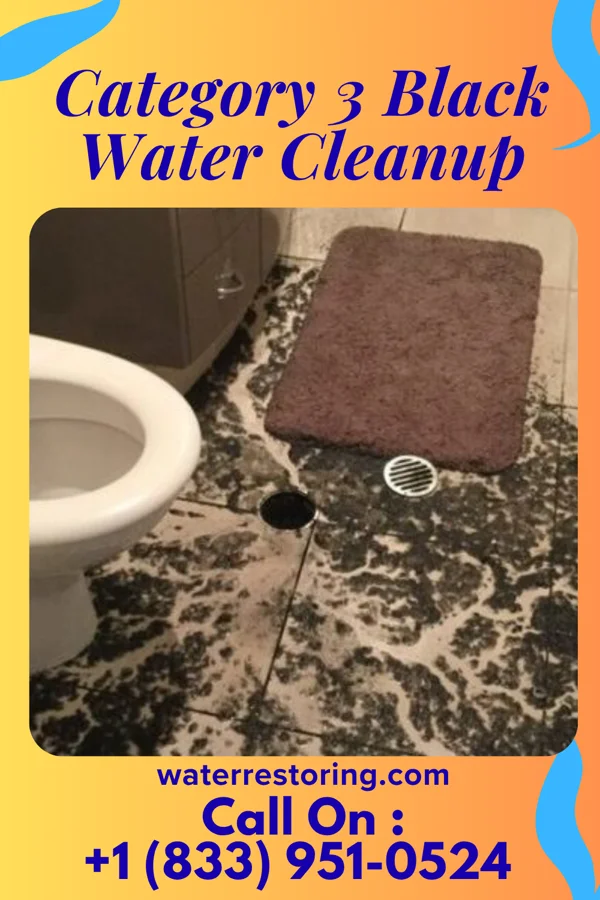 Category 3 Black Water Cleanup in Skellytown, TX